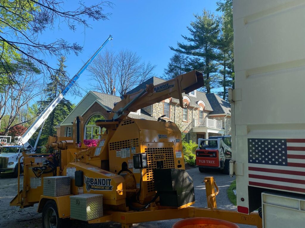 VIllanova Tree Service Crane Removal