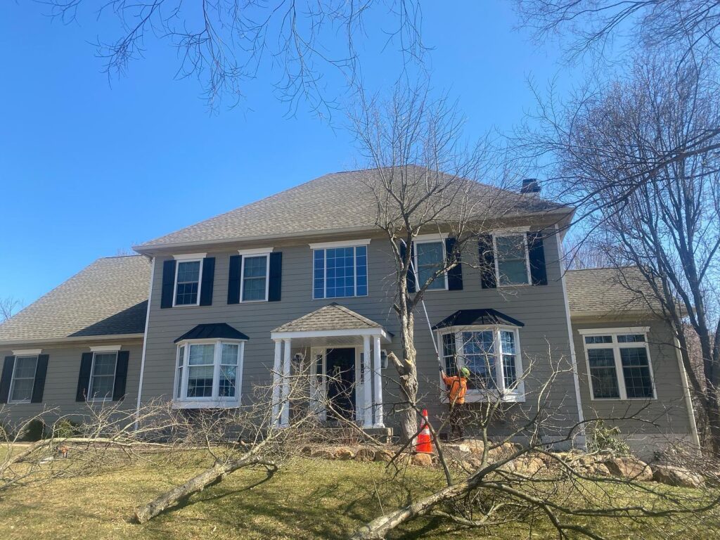 West Chester Tree Service